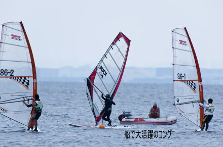 船で大活躍のコング