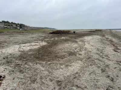 検見川ビーチ連盟 検見川の浜ビーチクリ-ン