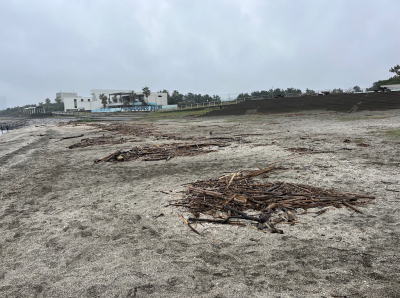 検見川ビーチ連盟 検見川の浜ビーチクリ-ン