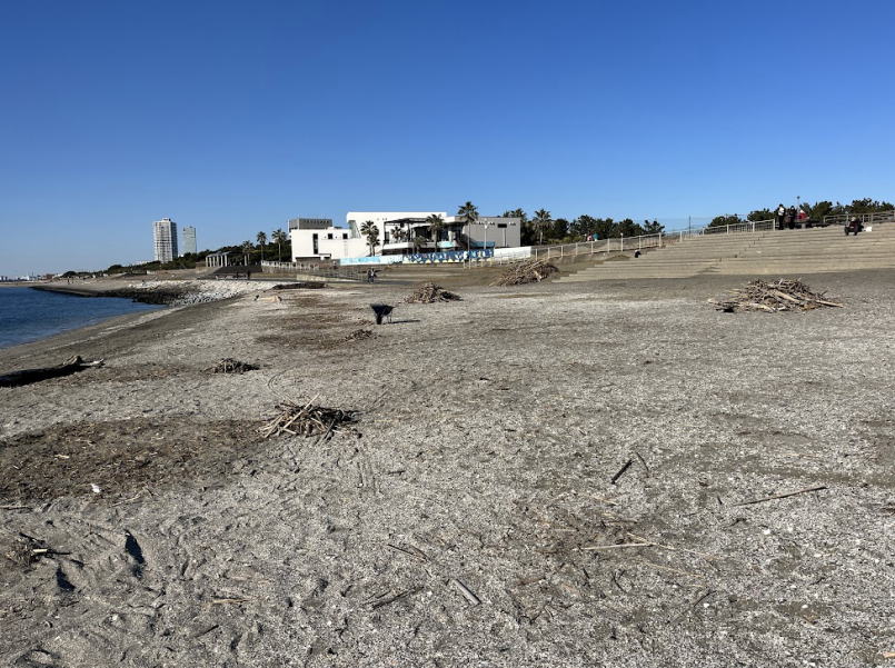 2025年12月検見川の浜ビーチクリン