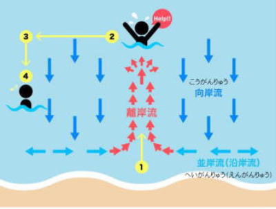 2026年9月　小中学生ウインドサーフィン体験教室